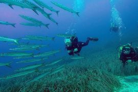 Taucher unter Wasser auf Ibiza