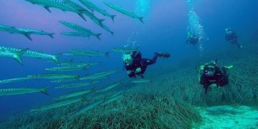 Taucher unter Wasser auf Ibiza