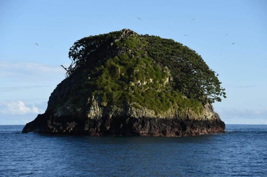 top-dive-cocos-island-1