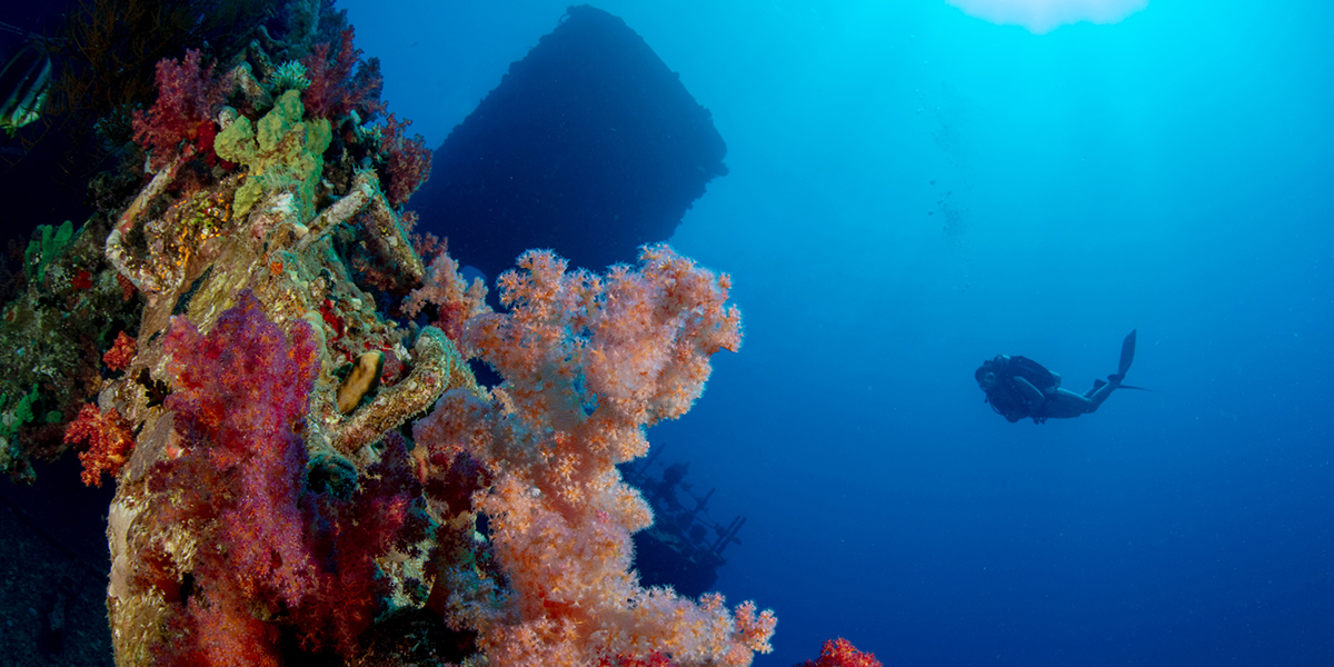 Top Dive Notfalltipps